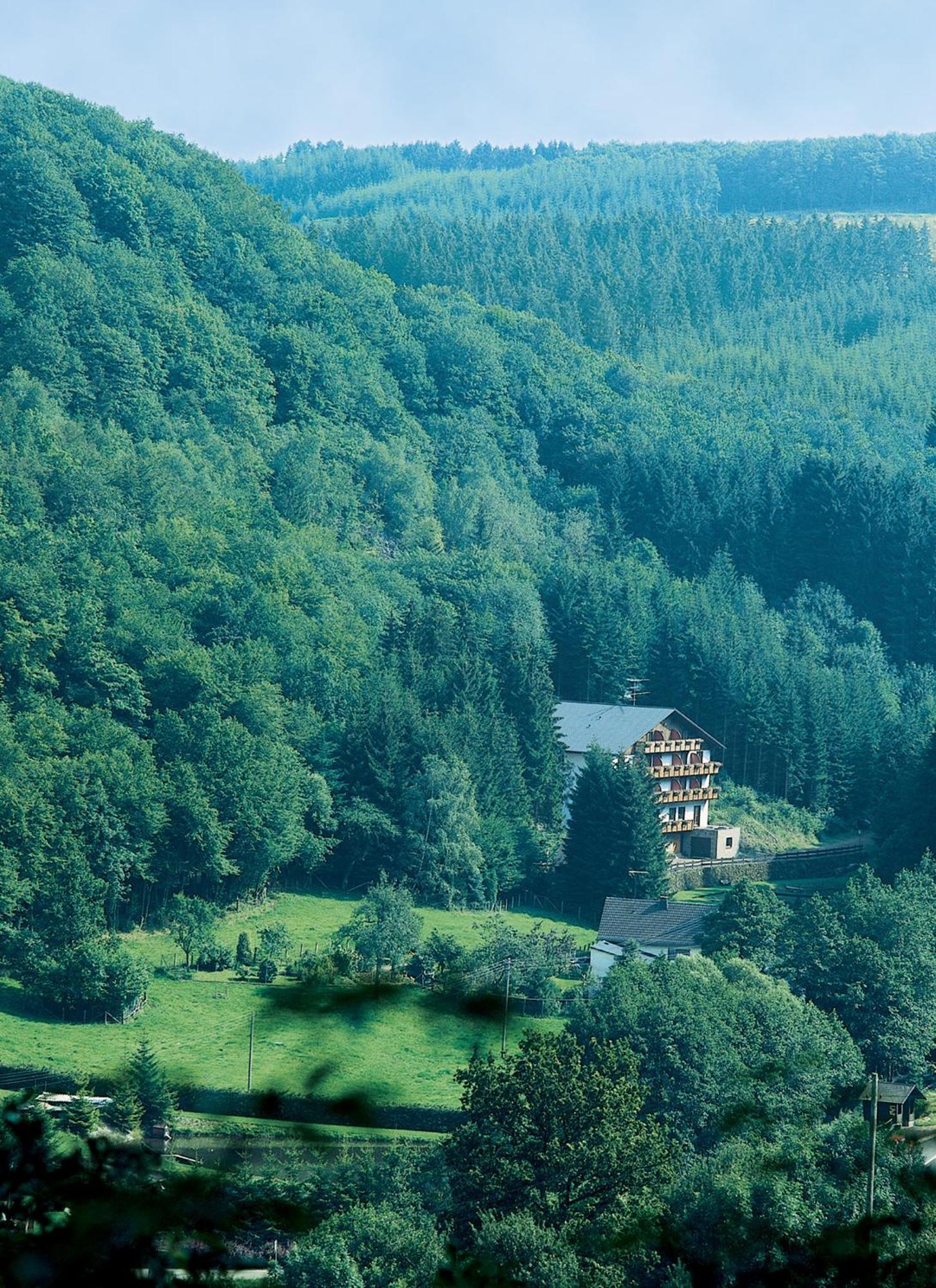 Wolffhotel Kopp Exteriör bild